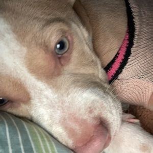 Meet your Posher, Andres